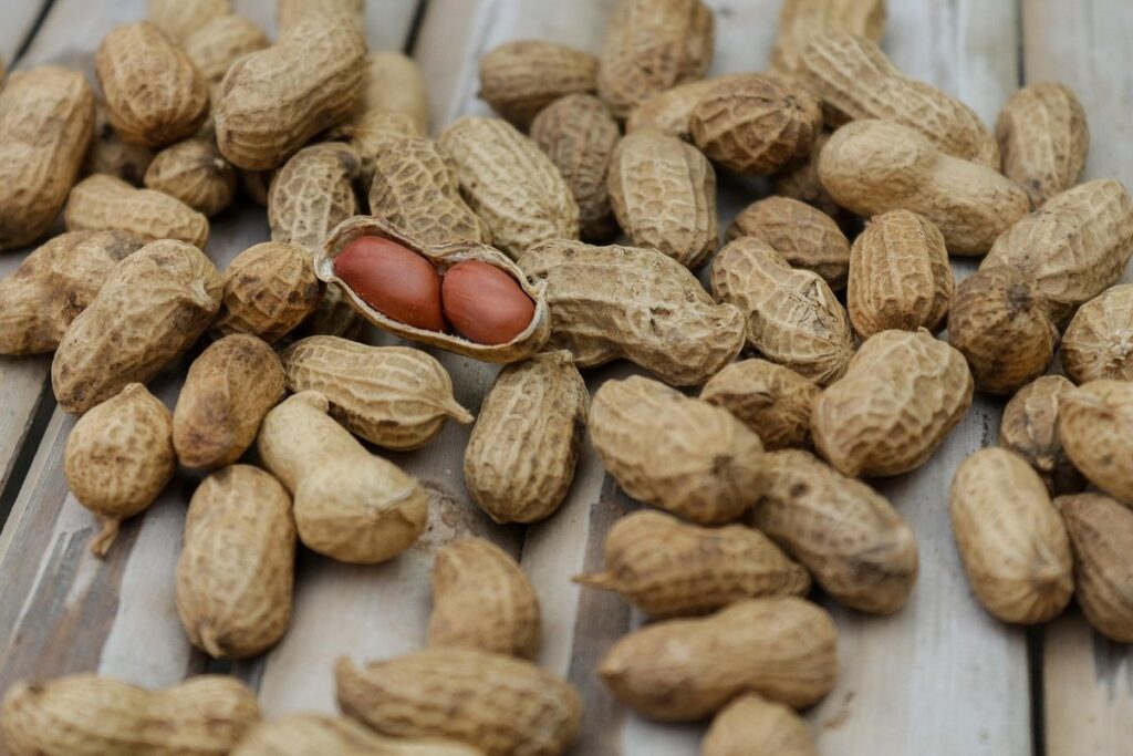nutrition for alzheimer's patients