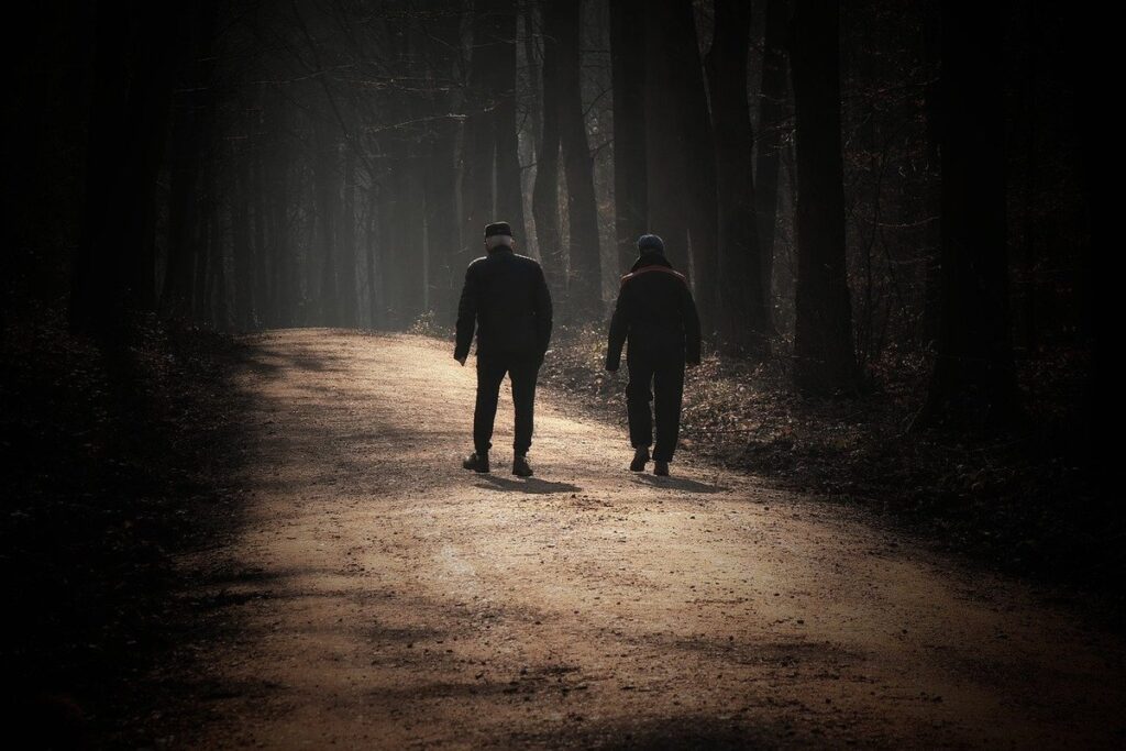elderly cant walk
