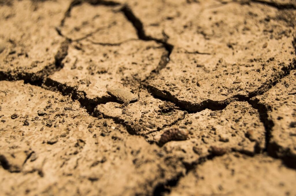 dehydration in elderly