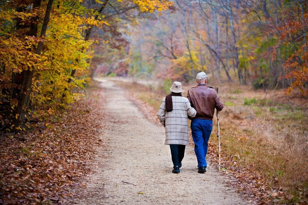 how to prevent falls in the elderly
