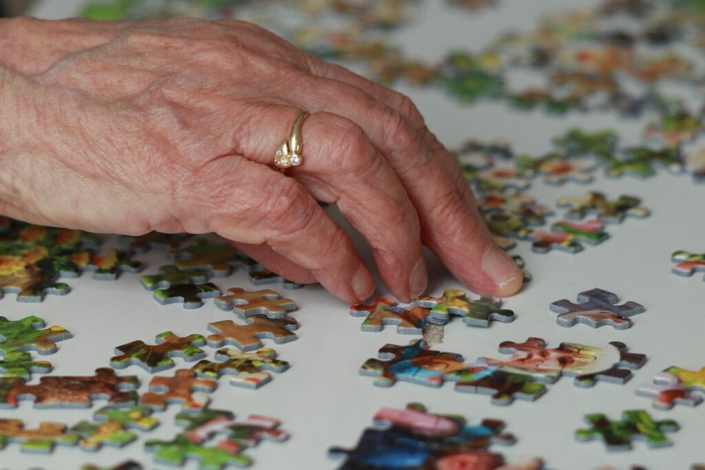 seniors puzzles