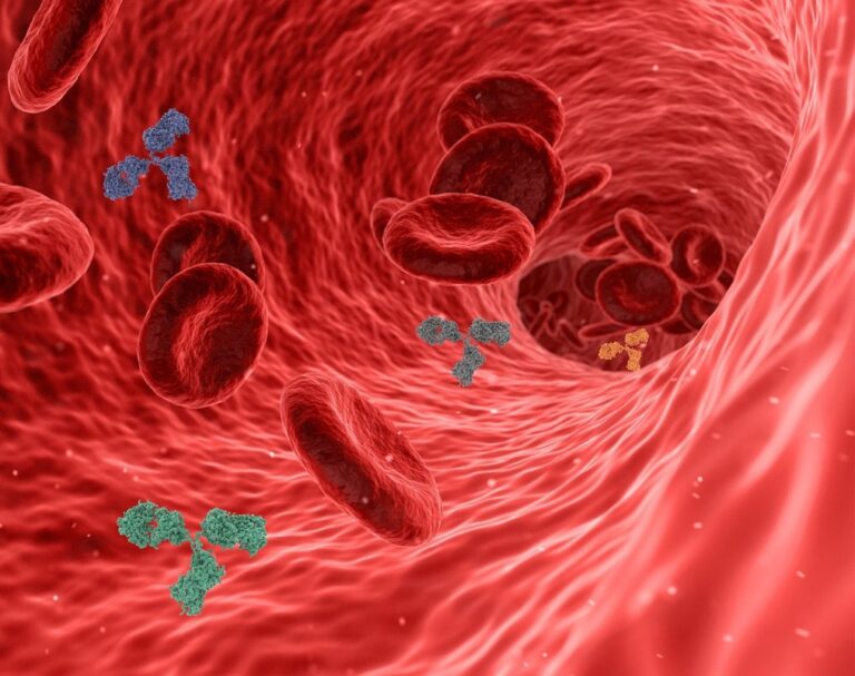 lewy body disease