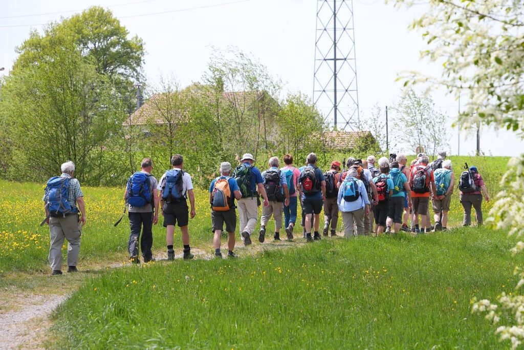 senior group activities