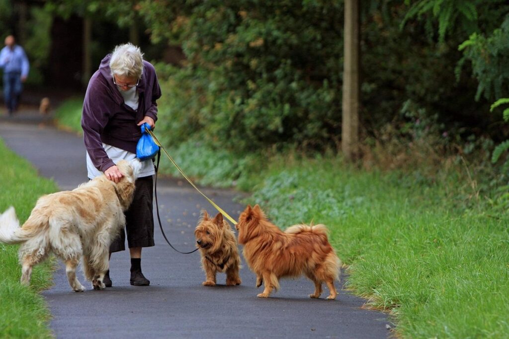 balance exercises for seniors with walker