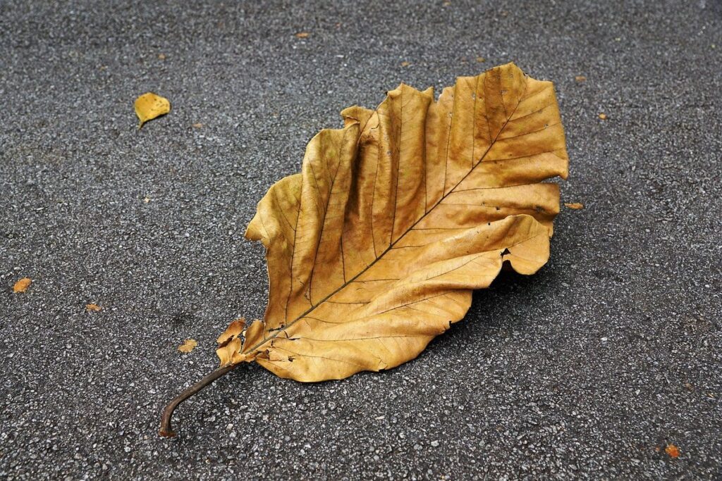 state pension age changes