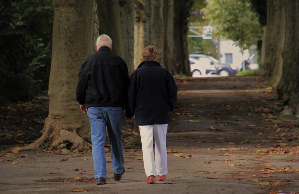 age pension income test limits