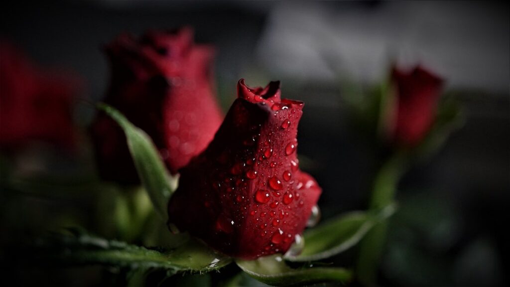 grief after losing spouse